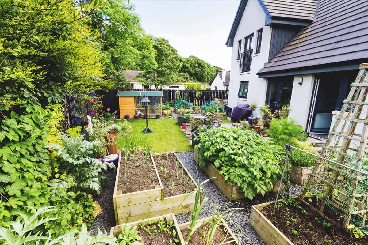 chores for kids on the homestead